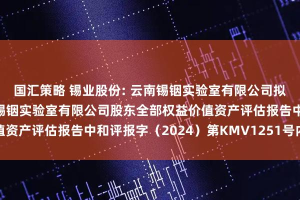 国汇策略 锡业股份: 云南锡铟实验室有限公司拟实施增资所涉及的云南锡铟实验室有限公司股东全部权益价值资产评估报告中和评报字（2024）第KMV1251号内容摘要