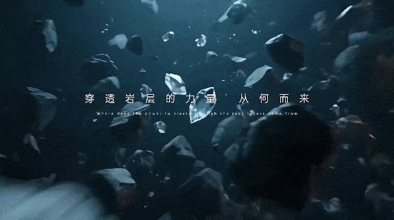 宏融信 荆州区：长江大学2025年形象宣传片《力量》首发！