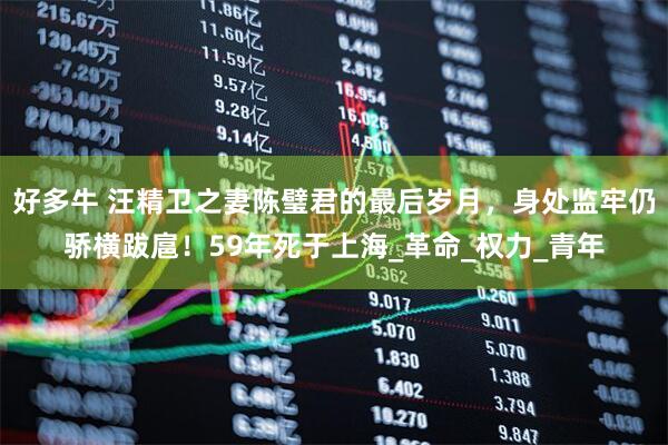 好多牛 汪精卫之妻陈璧君的最后岁月，身处监牢仍骄横跋扈！59年死于上海_革命_权力_青年