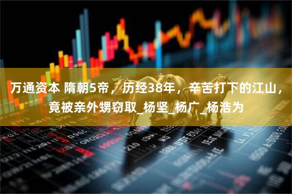 万通资本 隋朝5帝，历经38年，辛苦打下的江山，竟被亲外甥窃取_杨坚_杨广_杨浩为