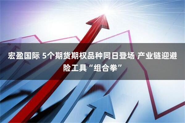 宏盈国际 5个期货期权品种同日登场 产业链迎避险工具“组合拳”